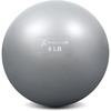 image:imageProsourceFit Weighted Toning Exercise Balls for Pilates Yoga Strength Training and Physical Therapy 2 lb to 8 lb Color CodedSilver  6 lb