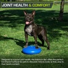 image:imageProsourceFit Core Balance Disc Inflatable Wobble Cushion with Hand Pump DualTextured NonSlip Surface for Core Balance and Stability Training 14inchBlue