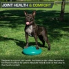 image:imageProsourceFit Core Balance Disc Inflatable Wobble Cushion with Hand Pump DualTextured NonSlip Surface for Core Balance and Stability Training 14inchGreen