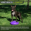 image:imageProsourceFit Core Balance Disc Inflatable Wobble Cushion with Hand Pump DualTextured NonSlip Surface for Core Balance and Stability Training 14inchPurple