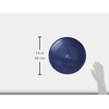 image:imageProsourceFit Core Balance Disc Inflatable Wobble Cushion with Hand Pump DualTextured NonSlip Surface for Core Balance and Stability Training 14inchPurple