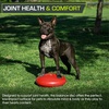image:imageProsourceFit Core Balance Disc Inflatable Wobble Cushion with Hand Pump DualTextured NonSlip Surface for Core Balance and Stability Training 14inchRed